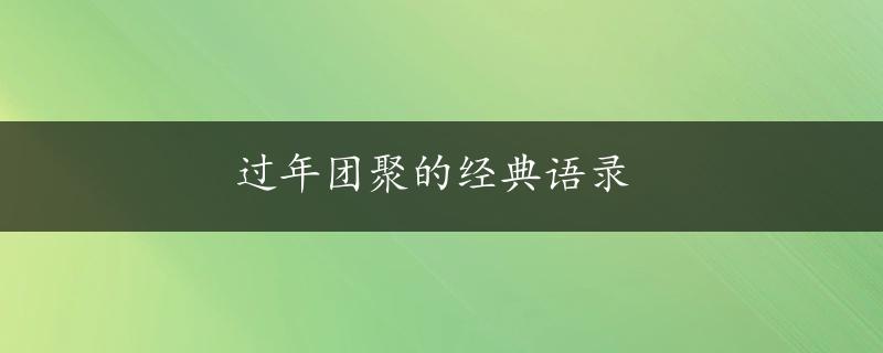 过年团聚的经典语录