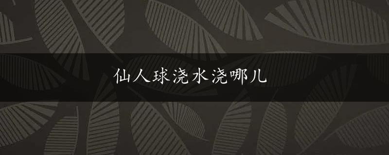 仙人球浇水浇哪儿