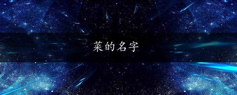 菜的名字