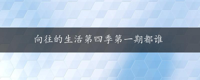 向往的生活第四季第一期都谁