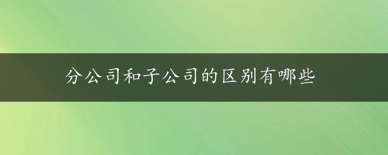 分公司和子公司的区别有哪些