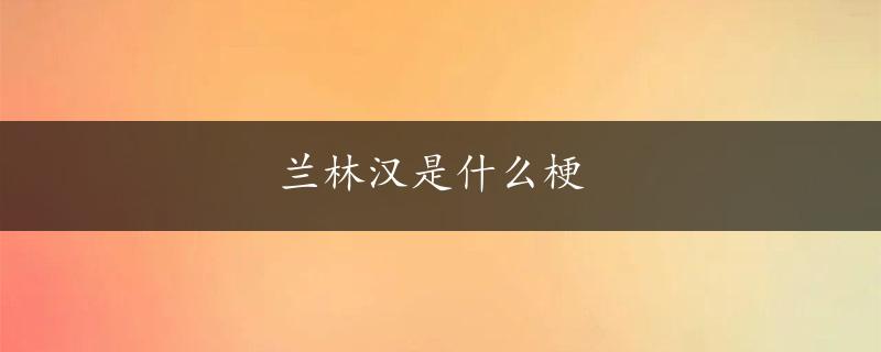 兰林汉是什么梗