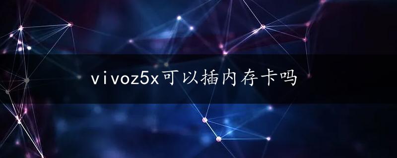 vivoz5x可以插内存卡吗