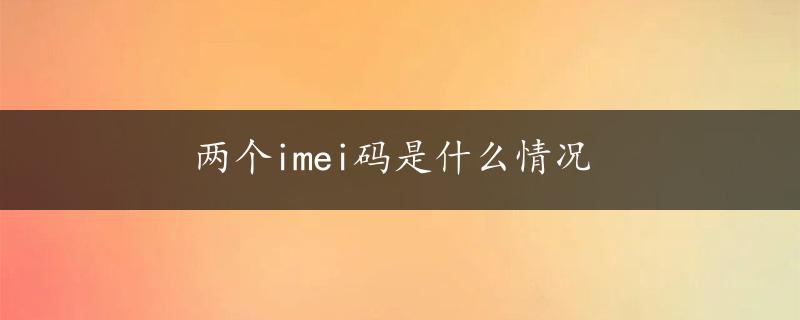 两个imei码是什么情况