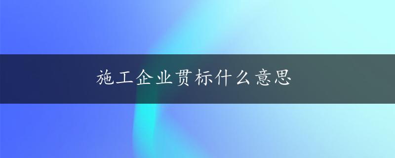 施工企业贯标什么意思