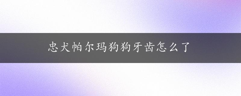 忠犬帕尔玛狗狗牙齿怎么了