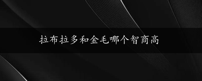 拉布拉多和金毛哪个智商高