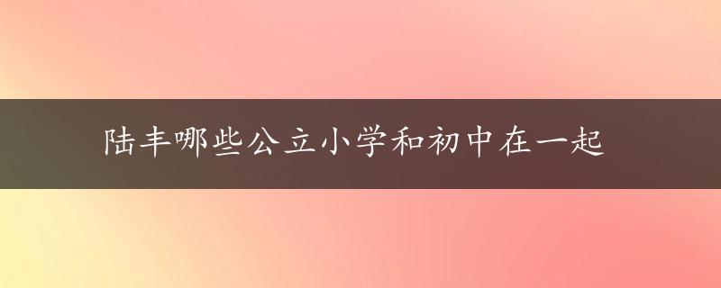 陆丰哪些公立小学和初中在一起