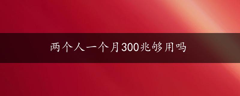 两个人一个月300兆够用吗