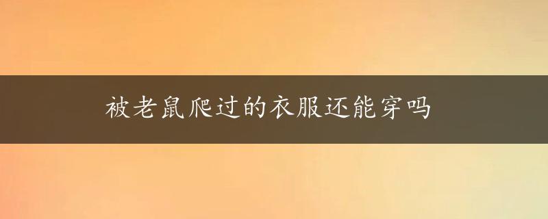 被老鼠爬过的衣服还能穿吗