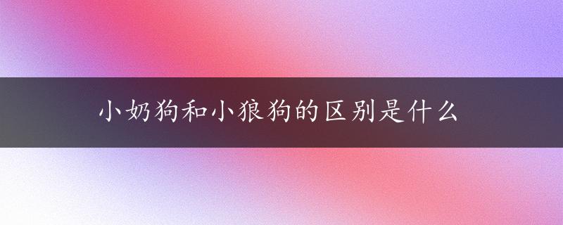 小奶狗和小狼狗的区别是什么