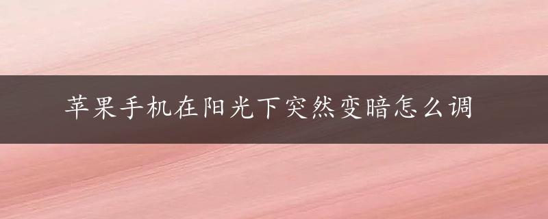 苹果手机在阳光下突然变暗怎么调