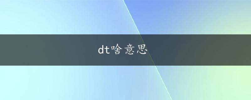 dt啥意思