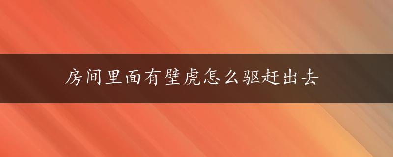 房间里面有壁虎怎么驱赶出去