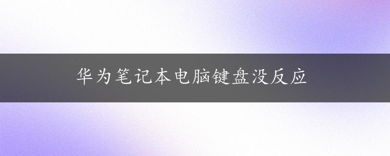 华为笔记本电脑键盘没反应