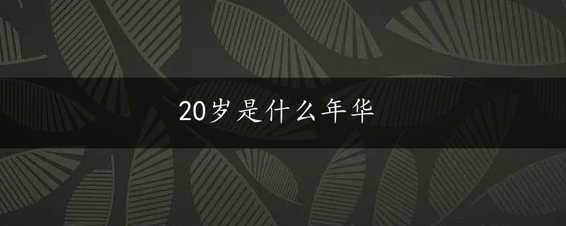 20岁是什么年华