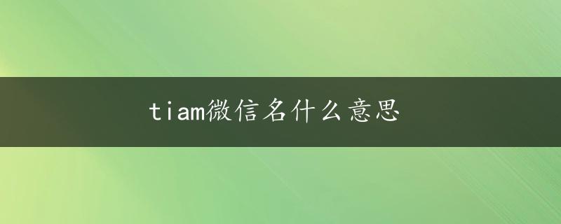 tiam微信名什么意思