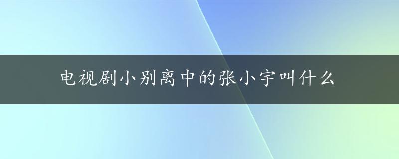 电视剧小别离中的张小宇叫什么