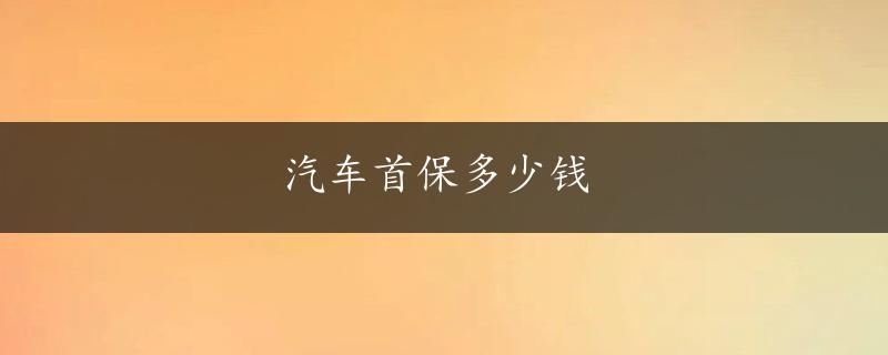 汽车首保多少钱