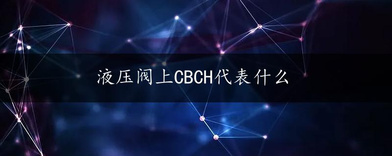 液压阀上CBCH代表什么