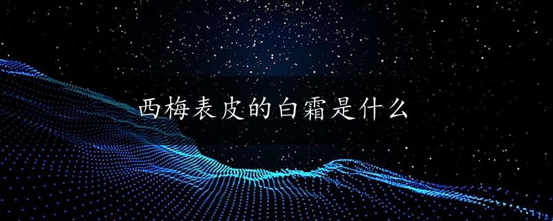 西梅表皮的白霜是什么