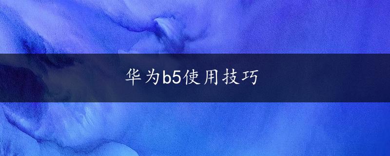 华为b5使用技巧