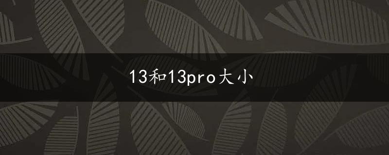 13和13pro大小