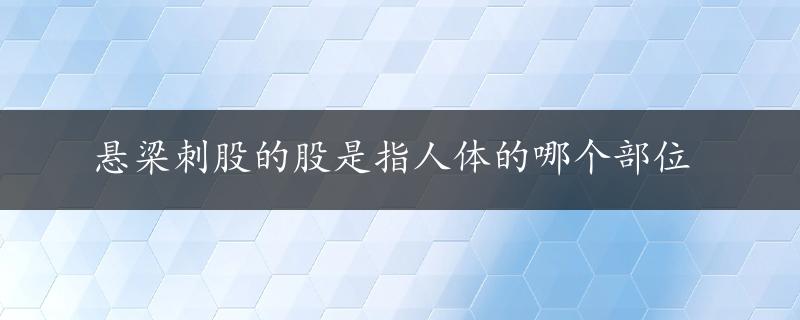 悬梁刺股的股是指人体的哪个部位