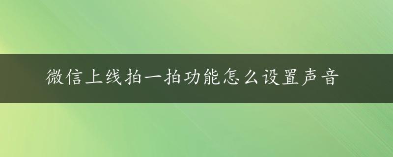 微信上线拍一拍功能怎么设置声音