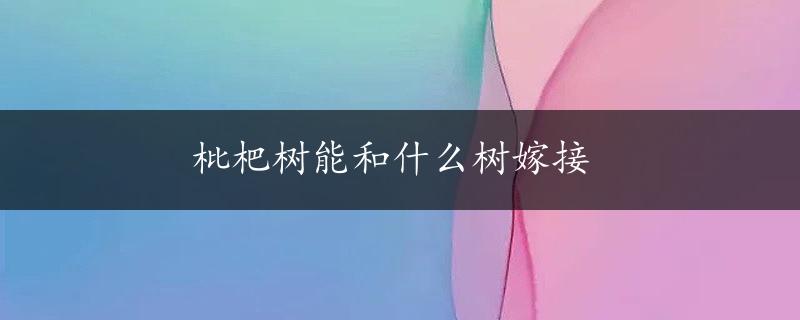 枇杷树能和什么树嫁接