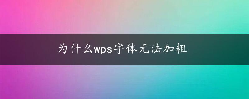 为什么wps字体无法加粗