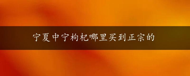 宁夏中宁枸杞哪里买到正宗的