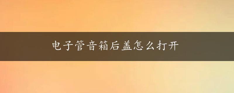 电子管音箱后盖怎么打开