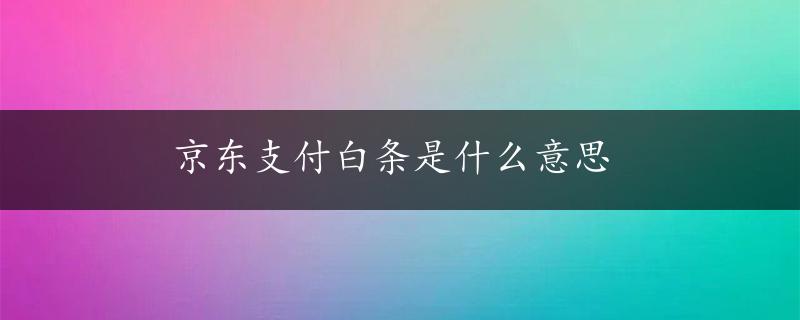 京东支付白条是什么意思