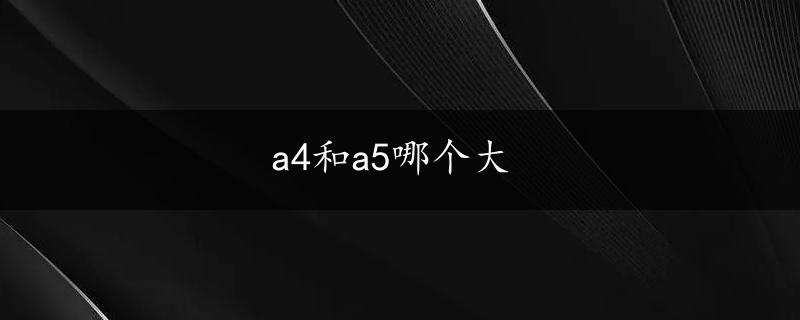 a4和a5哪个大