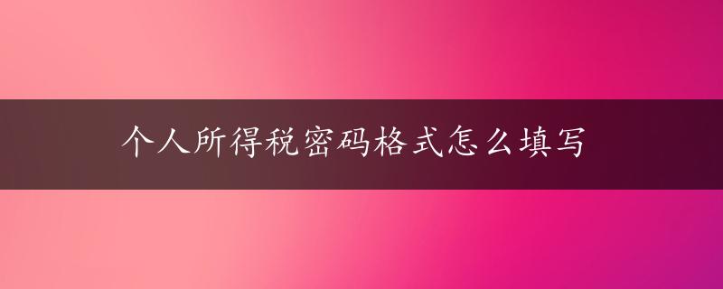 个人所得税密码格式怎么填写