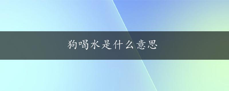 狗喝水是什么意思