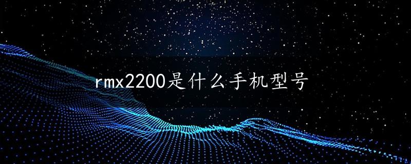 rmx2200是什么手机型号