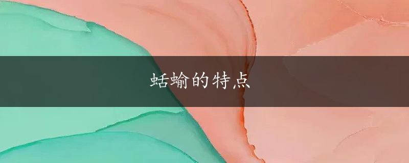 蛞蝓的特点