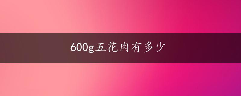 600g五花肉有多少