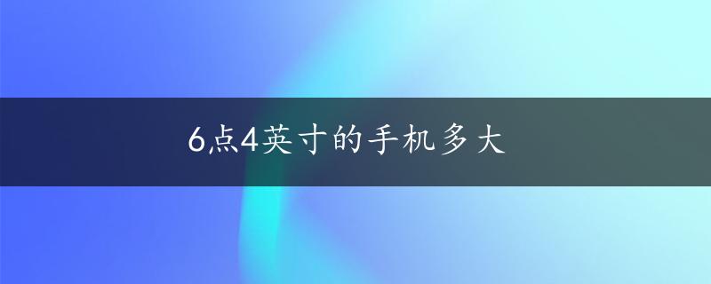 6点4英寸的手机多大