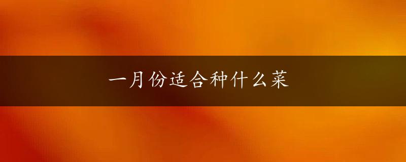 一月份适合种什么菜