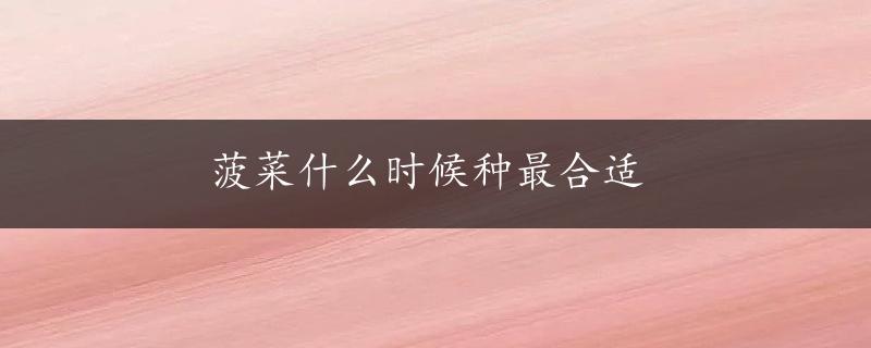 菠菜什么时候种最合适