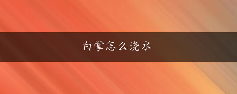 白掌怎么浇水