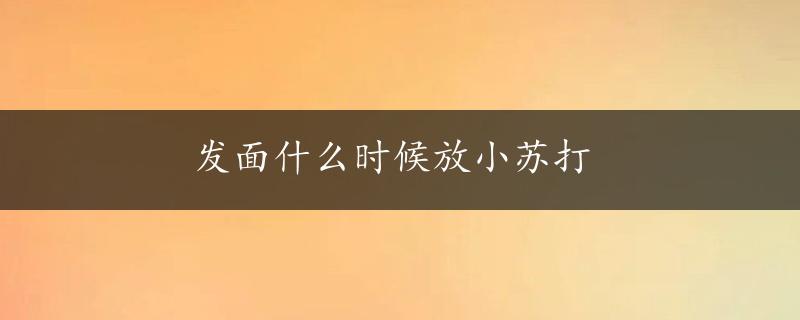 发面什么时候放小苏打