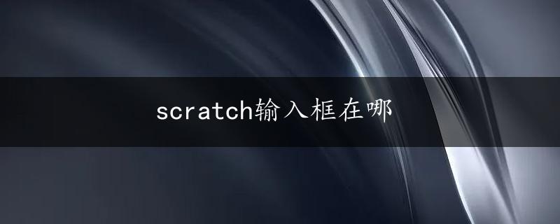 scratch输入框在哪