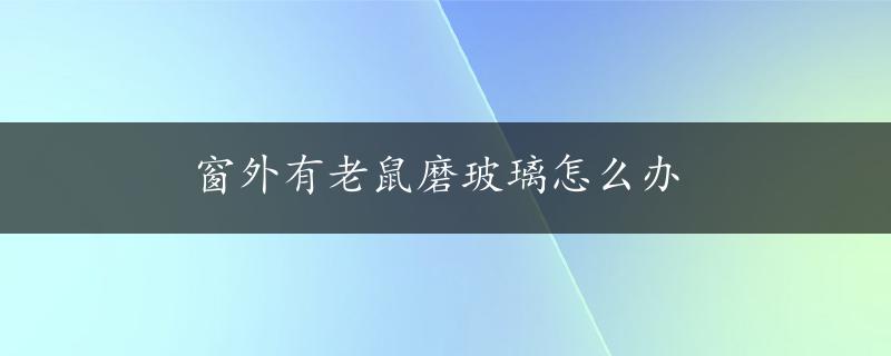 窗外有老鼠磨玻璃怎么办