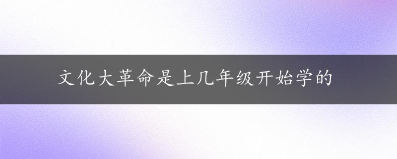 文化大革命是上几年级开始学的