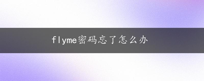 flyme密码忘了怎么办