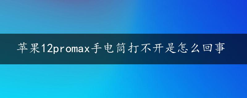 苹果12promax手电筒打不开是怎么回事